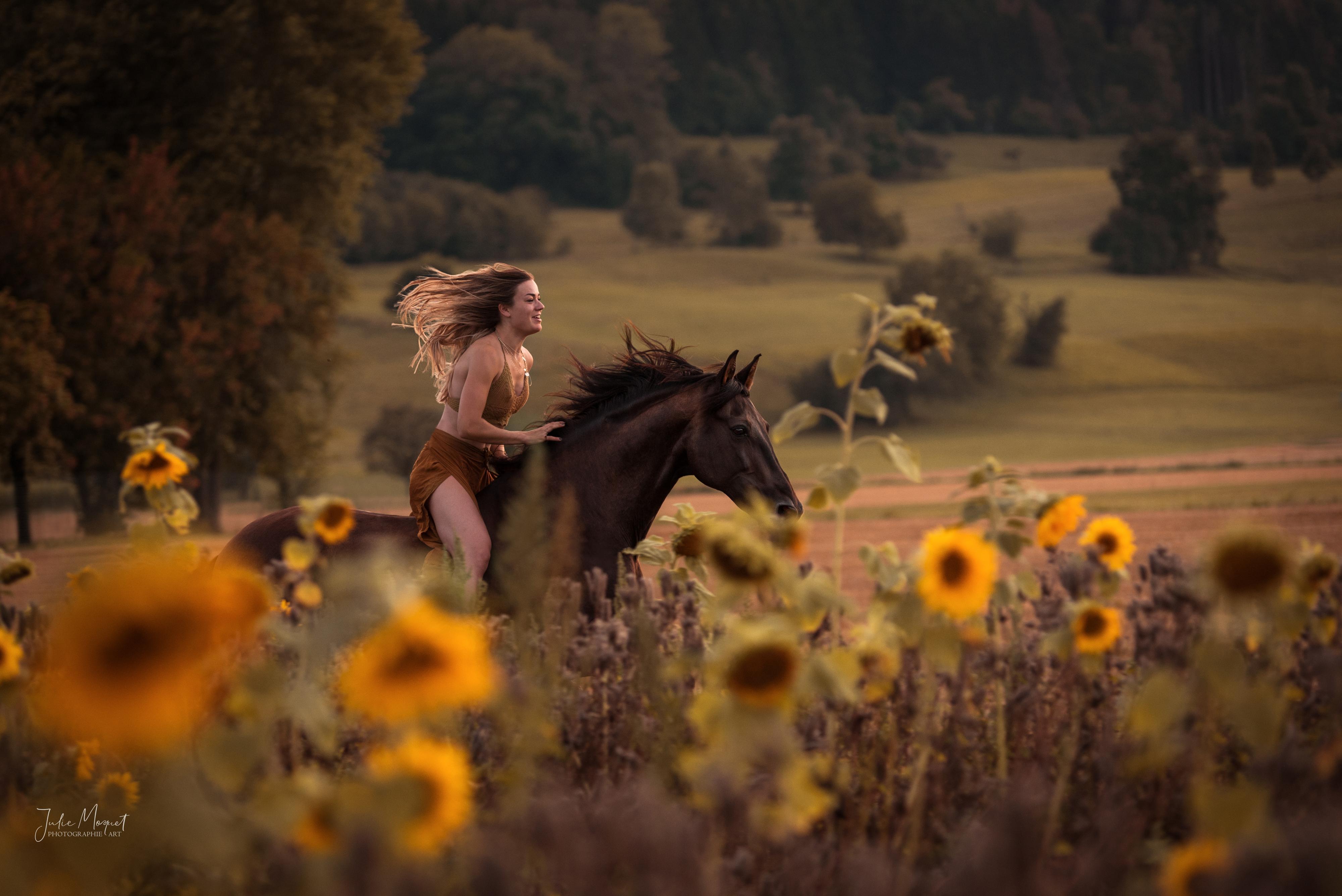 Eine junge Frau galoppiert mit ausgebreiteten Armen auf einem schwarzen Pferd. Im Vordergrund ist ein Sonnenblumenfeld.