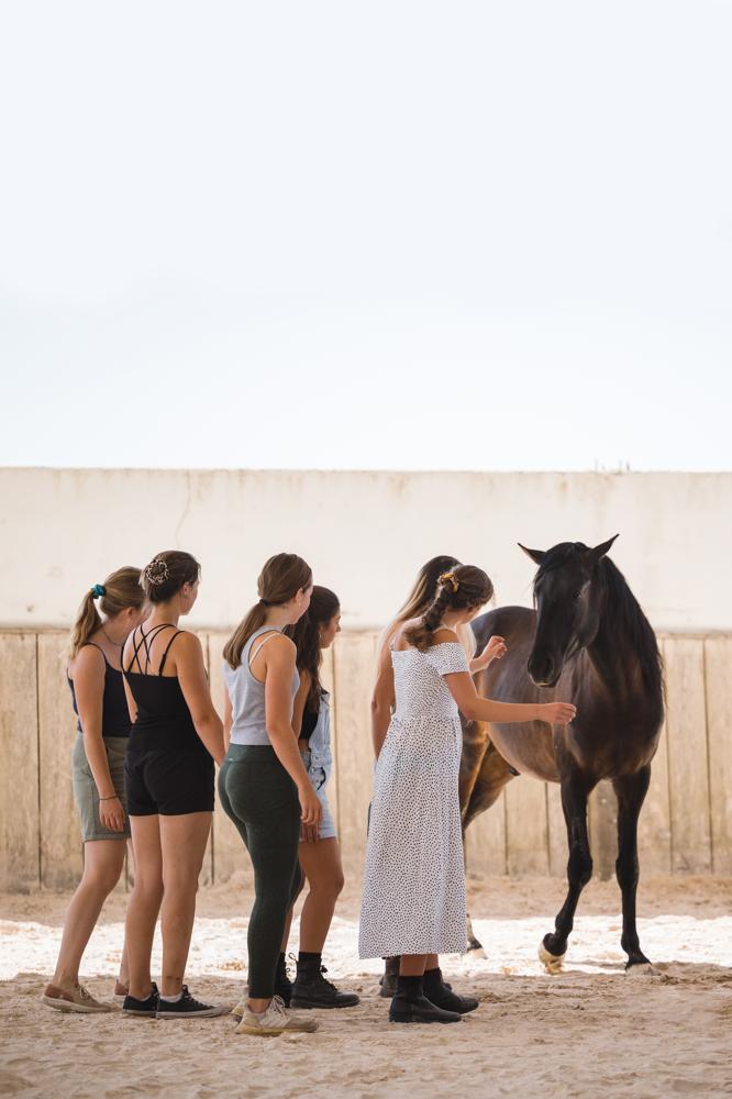 Dare to Inspire Event: Gruppe junger Frauen im Pulk im Kontakt mit einem schwarzen Lusitano Hengst in einer Reithalle.