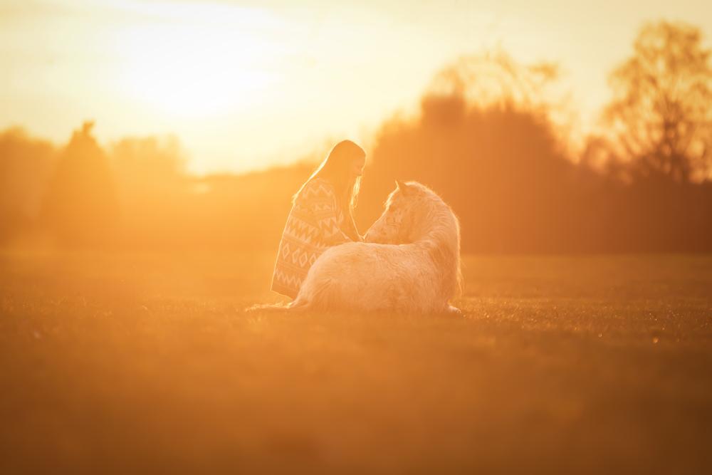Ein kleines Pony auf der Wiese liegend und ein Mädchen in der Hocke im gleißende Goldlicht der untergehenden Sonne.